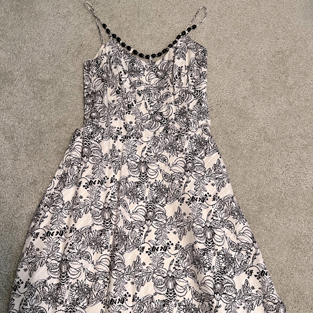 Ann Taylor Loft Size 6P Brown and White Dress